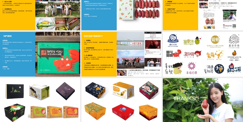 102.真的有料品类品牌展示.pptx