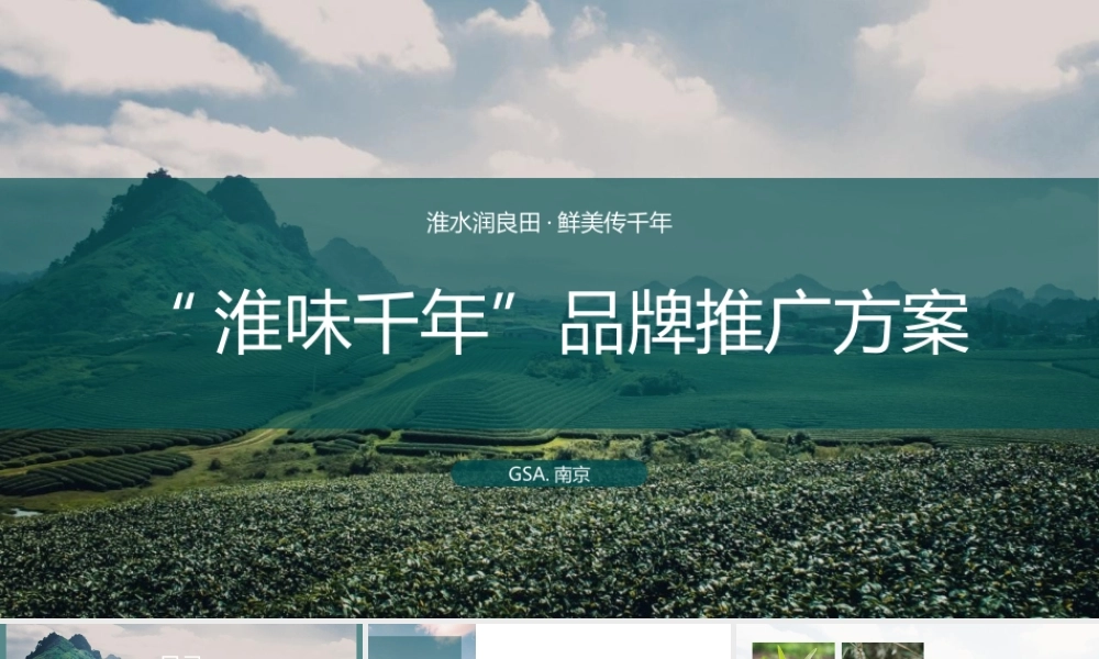 2020“淮味千年”农产品品牌推广方案.pptx