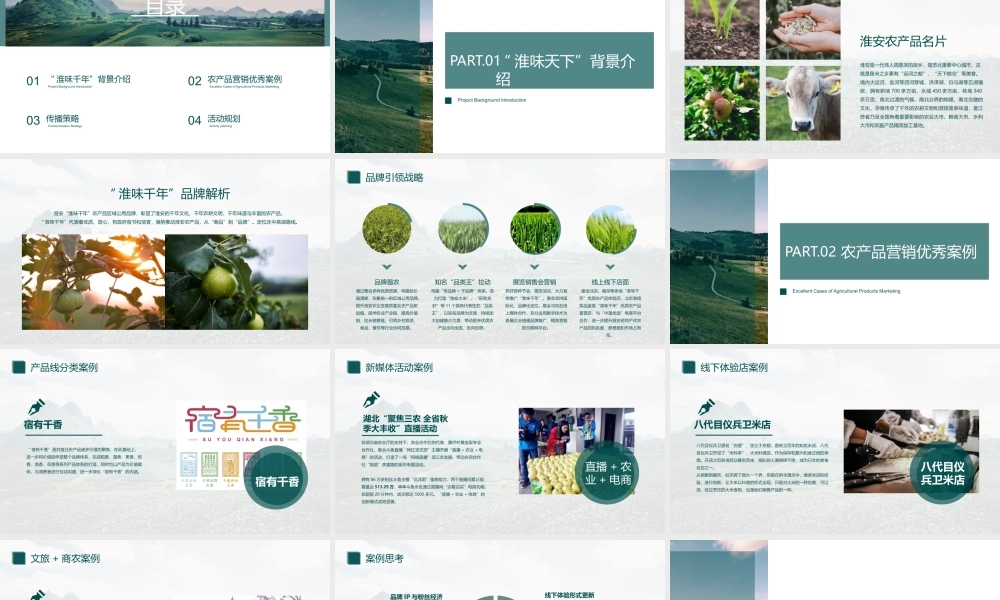 2020“淮味千年”农产品品牌推广方案.pptx