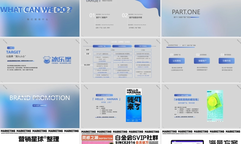 2023雪糕品牌推广计划.pptx