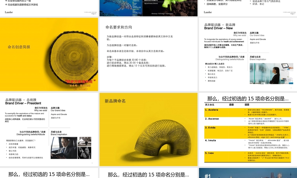 TRT Health_English Naming.pptx