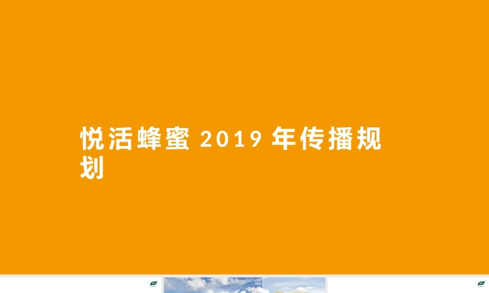 蜂蜜品牌传播推广方案.pptx