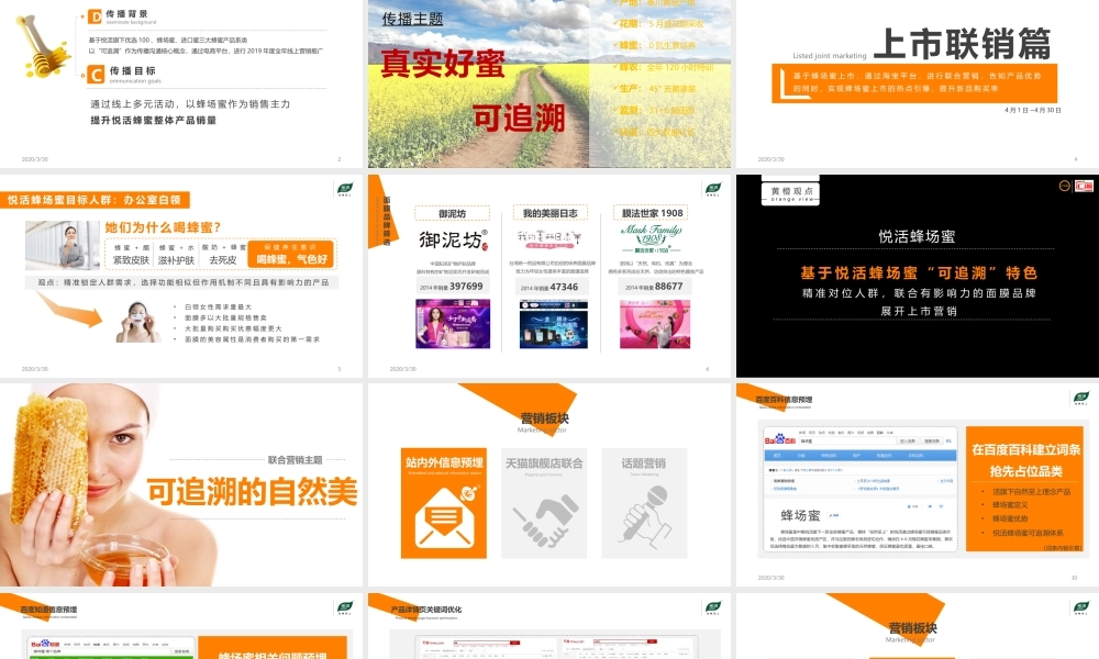 蜂蜜品牌传播推广方案.pptx