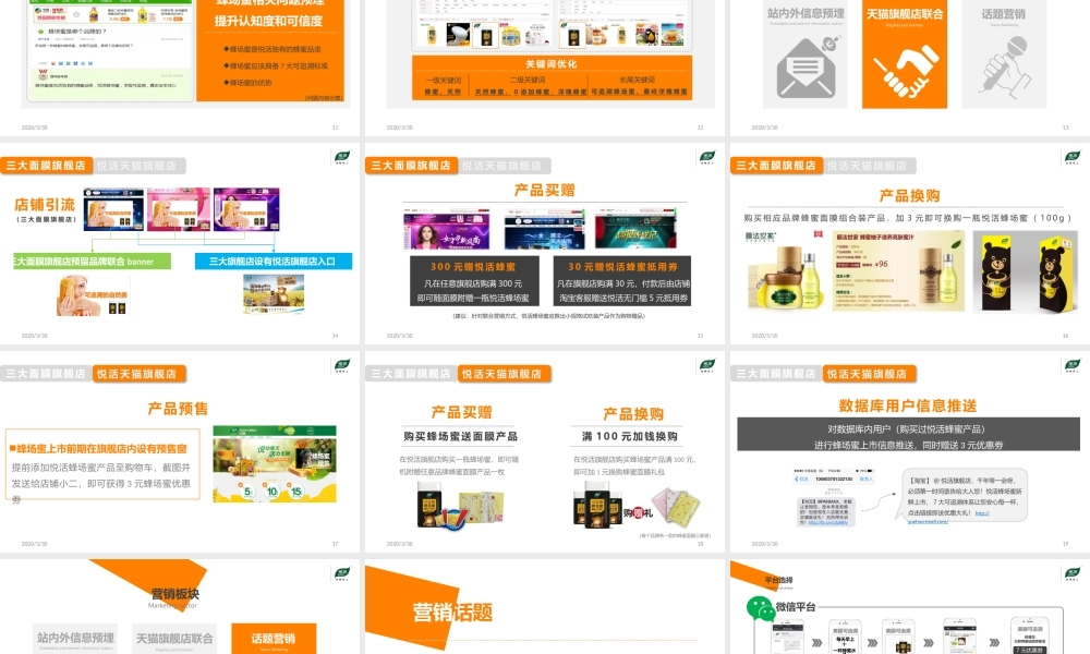 蜂蜜品牌传播推广方案.pptx