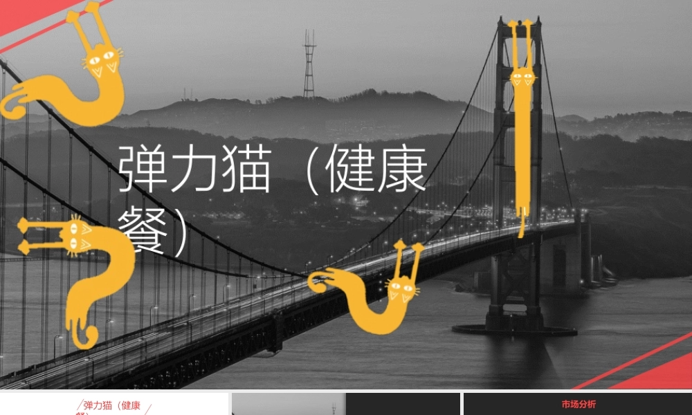 弹力猫健康餐品牌推广方案（定位+SLOGAN).pptx
