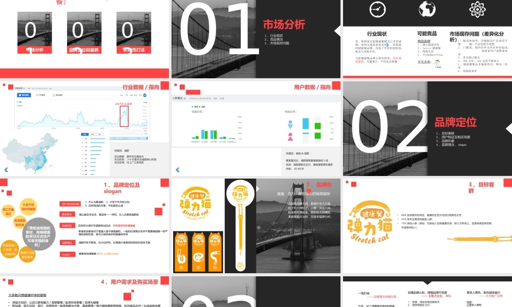 弹力猫健康餐品牌推广方案（定位+SLOGAN).pptx