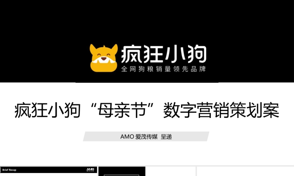 疯狂小狗宠物食品母亲节传播方案.pptx