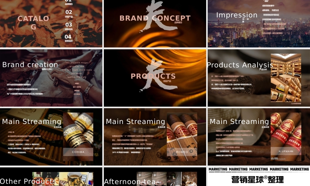 夫 · 雪茄 & 威士忌酒吧经营方案.pptx