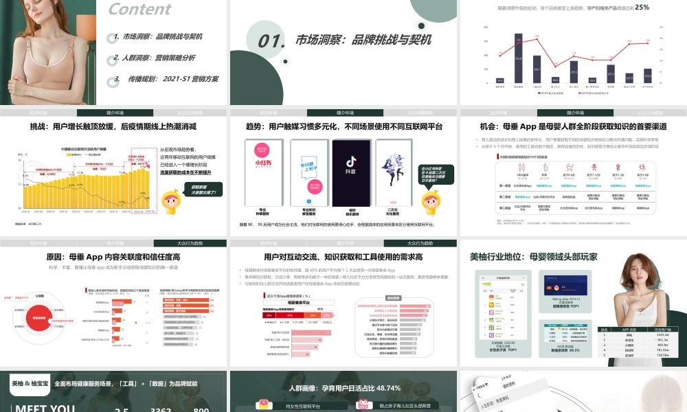 婧麒2021年上半年传播方案.pptx