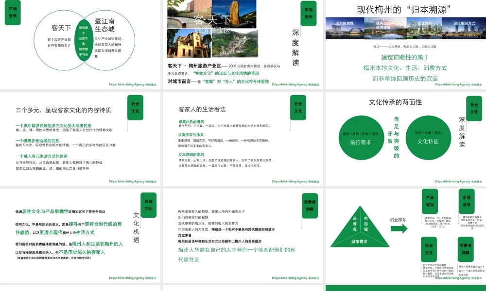 涓滴意念-梅州壹江南品牌推广方案.pptx