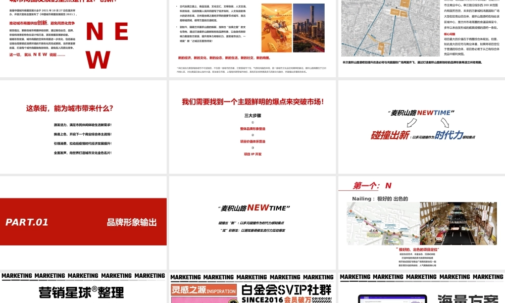 麦积山路酒吧街城市商业街区NEW TIME项目宣传推广方案.pptx
