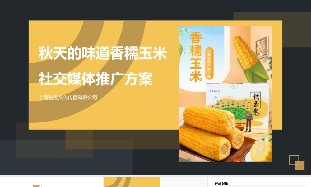 香糯玉米社交媒体推广方案.pptx