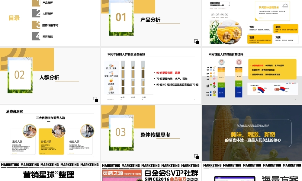 香糯玉米社交媒体推广方案.pptx