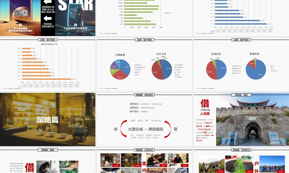 云南禅意庭院民宿方案.pptx