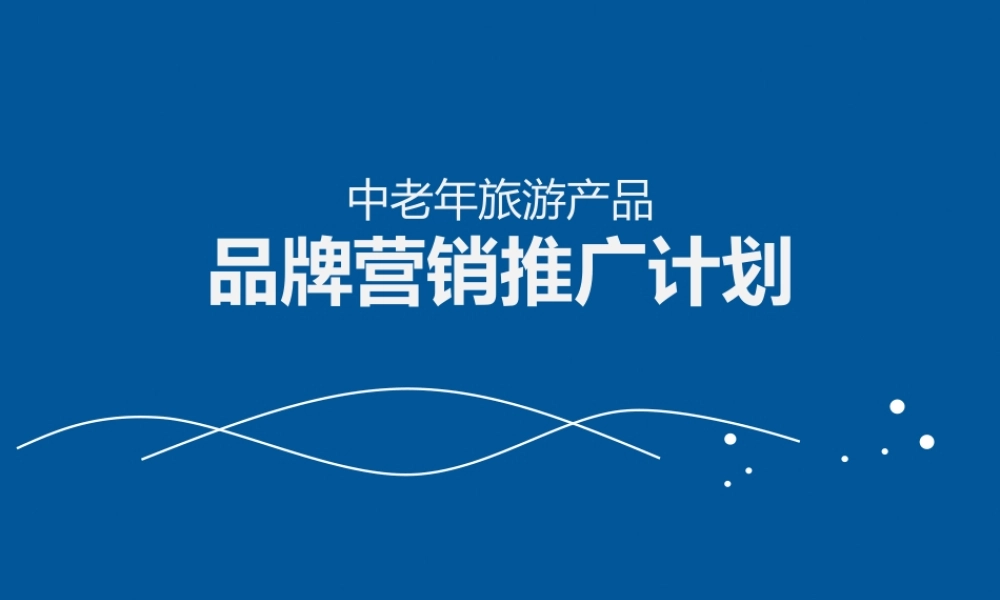 中老年旅游产品品牌营销推广计划.pptx
