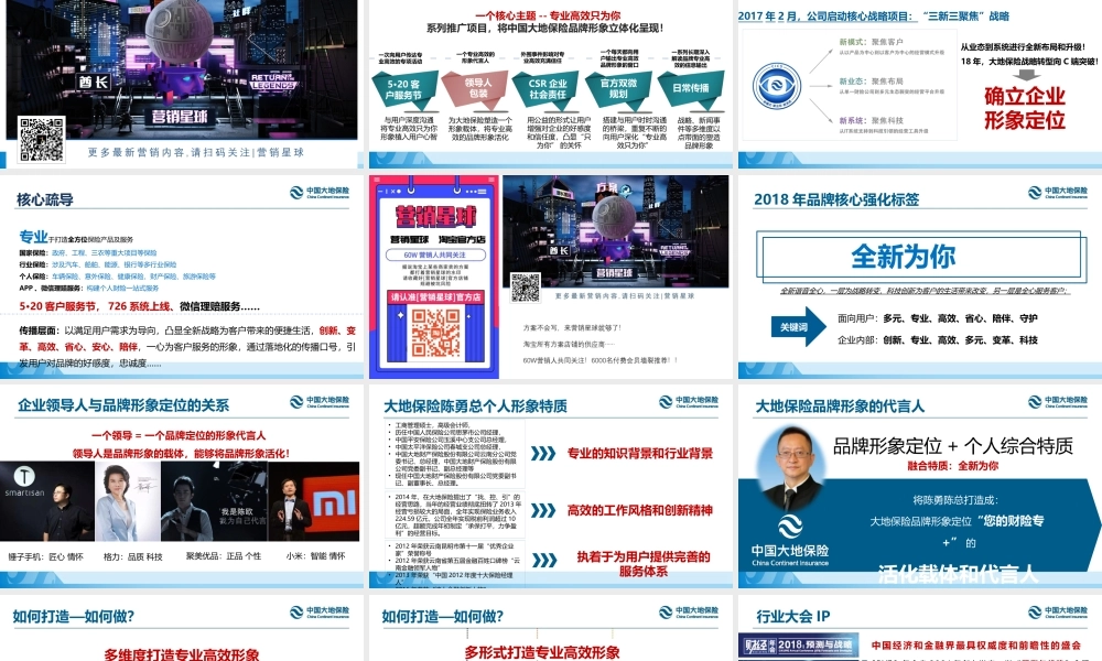 中国大地保险领导人包装方案.pptx