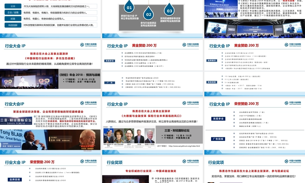 中国大地保险领导人包装方案.pptx