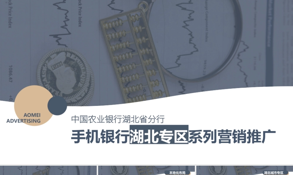 中国农业银行手机银行湖北专区系列营销推广.pptx