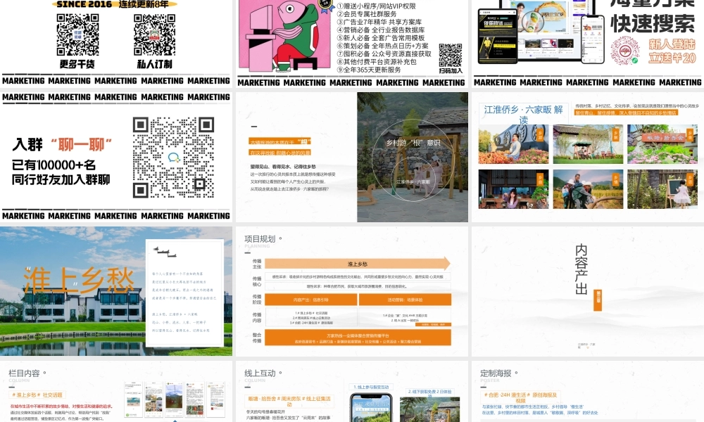 江淮侨乡·六家畈民宿景区文旅线上营销方案.pptx