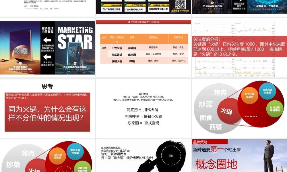 2021新辣道品牌策略建议 (2).pptx