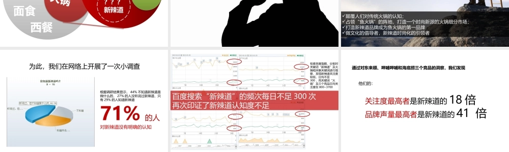 2021新辣道品牌策略建议 (2).pptx