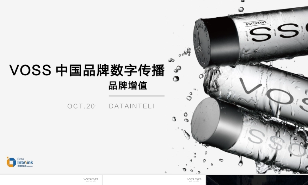 VOSS中国数字传播方案品牌增值_1023 (3).pptx