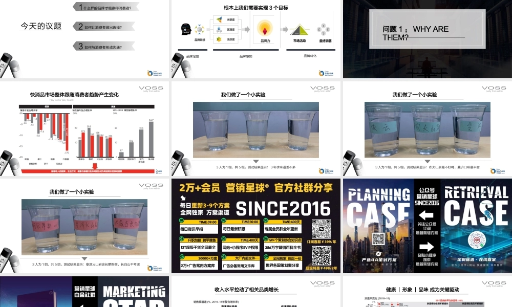 VOSS中国数字传播方案品牌增值_1023 (3).pptx