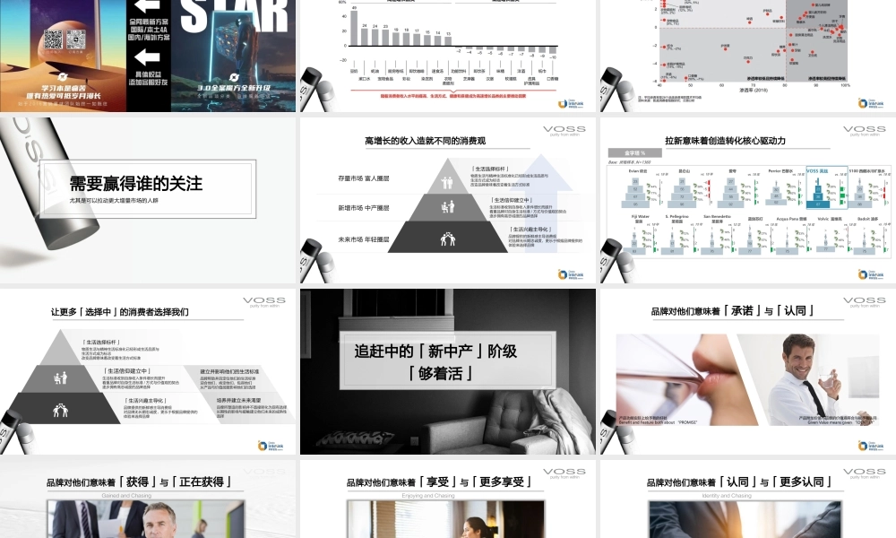 VOSS中国数字传播方案品牌增值_1023 (3).pptx
