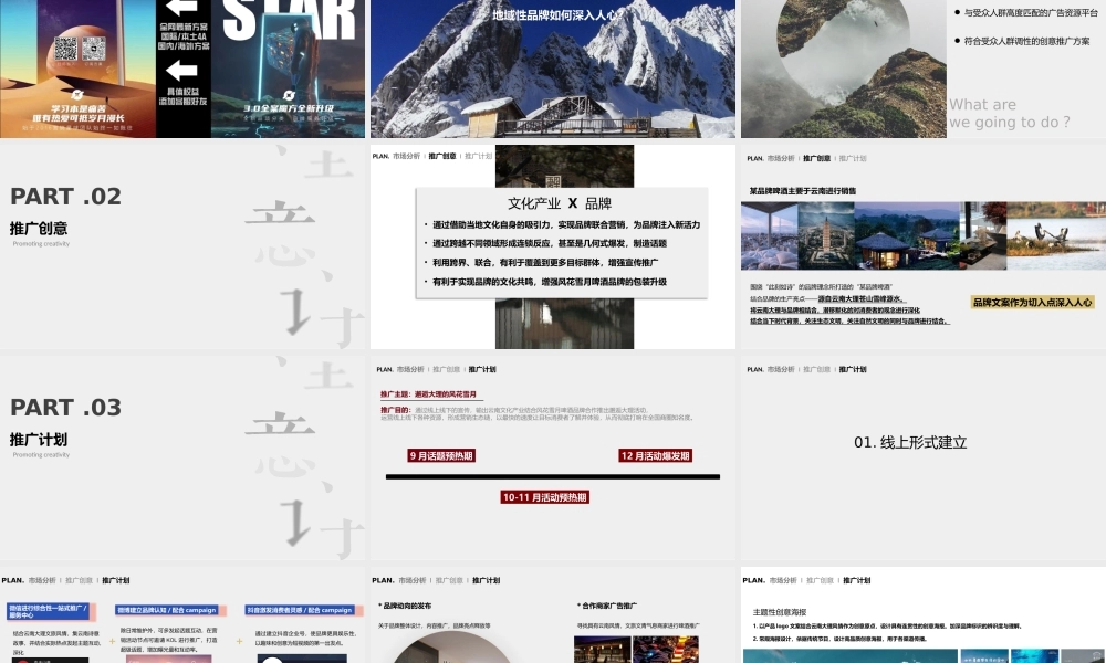 1664啤酒推广方案.pptx