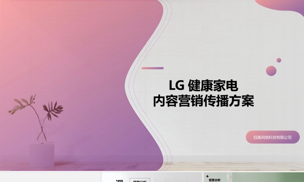 LG洗衣机冰箱洗碗机线上传播方案.pptx