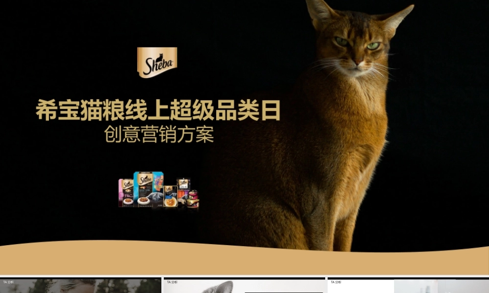 希宝猫粮超级品类日创意营销方案.pptx