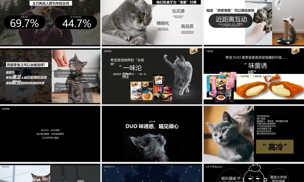 希宝猫粮超级品类日创意营销方案.pptx