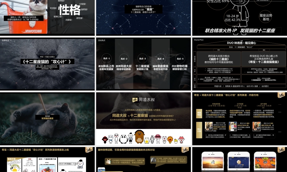 希宝猫粮超级品类日创意营销方案.pptx