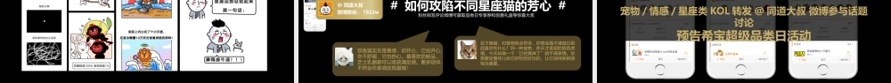 希宝猫粮超级品类日创意营销方案.pptx