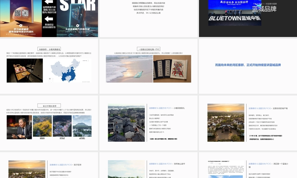蓝城就岭南开放提报.pptx