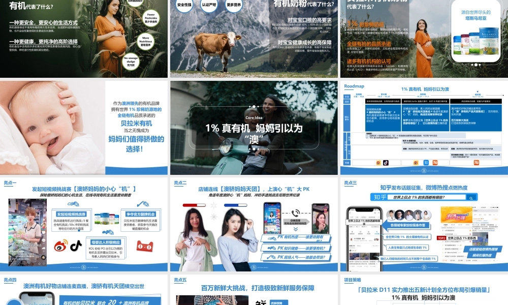 贝拉米D11创意营销方案.pptx