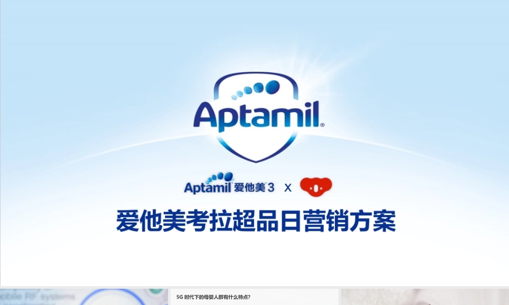 爱他美考拉超品日营销方案.pptx