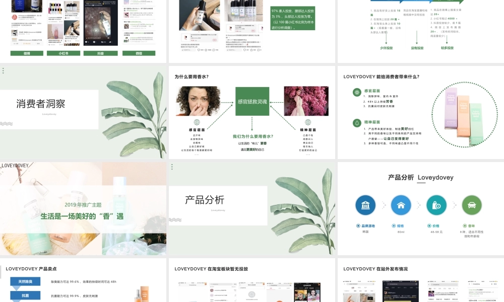 Lovey dovey 天猫旗舰店开业活动方案.pptx