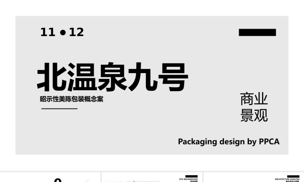 北温泉9号包装美陈案.pptx