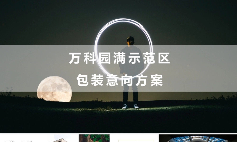 万科示范区包装意向方案.pptx