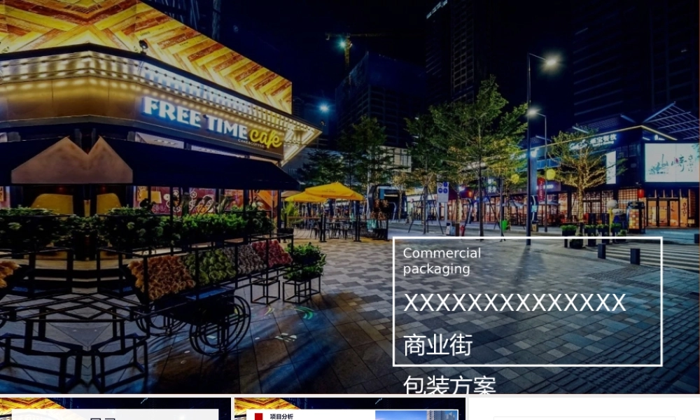 佳源商业包装方案.pptx