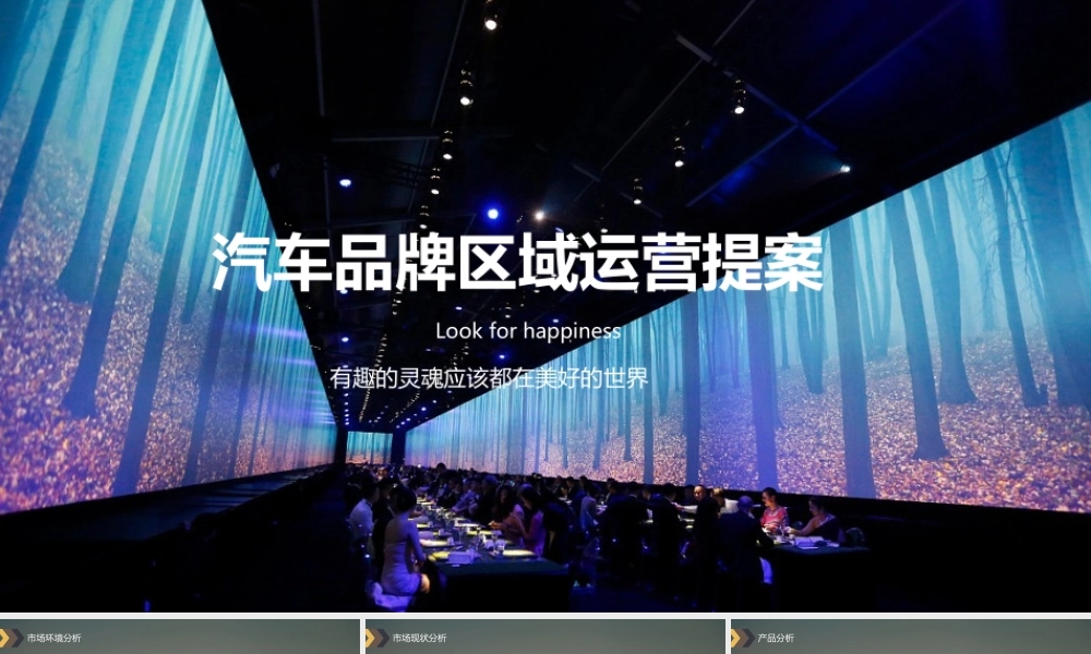 汽车品牌区域运营方案.pptx