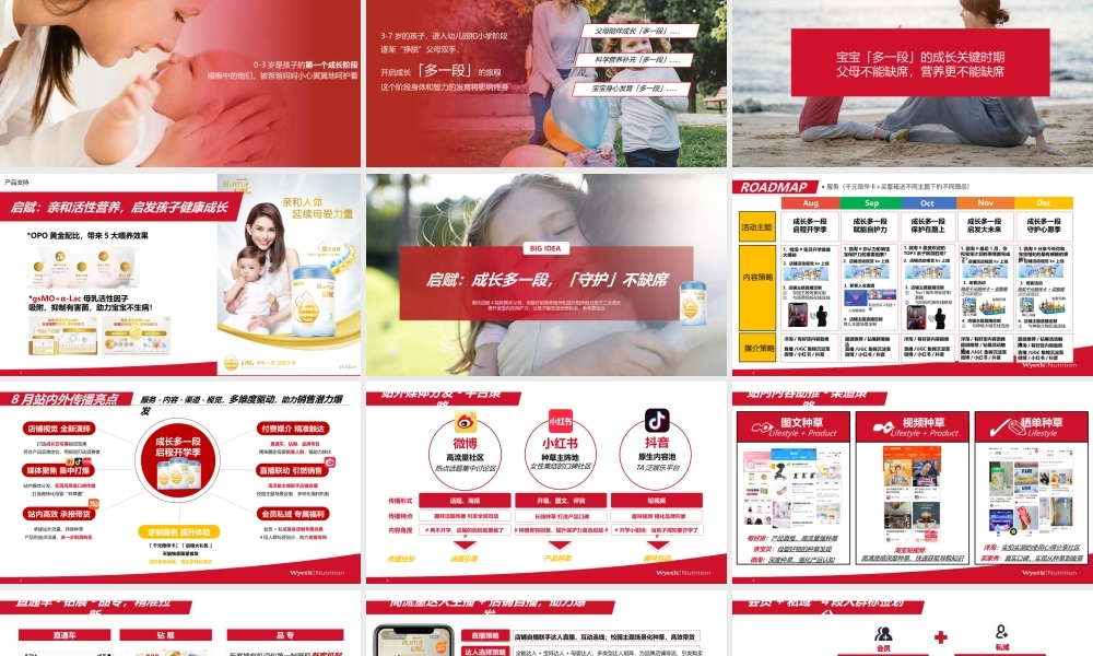 启赋天猫旗舰店成长日活动策划.pptx