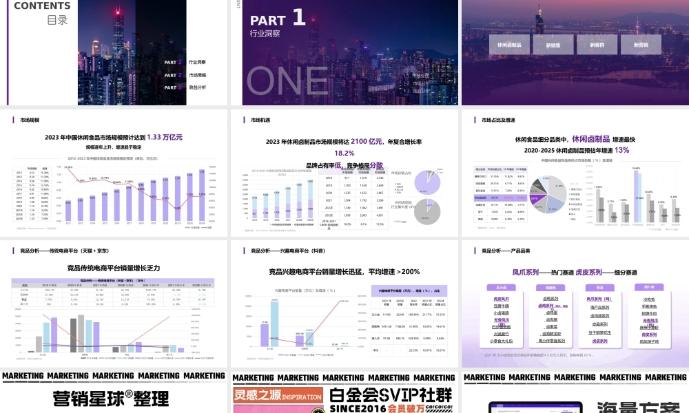 休闲零食品牌商业策划书零食界的潮品.pptx