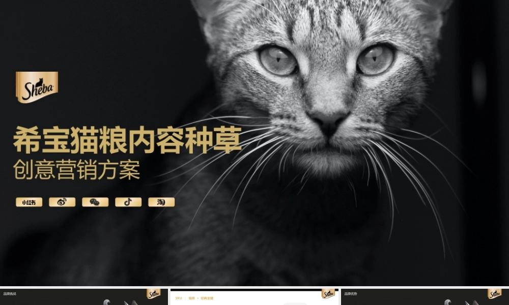 宠物粮品牌全年内容种草创意营销方案.pptx