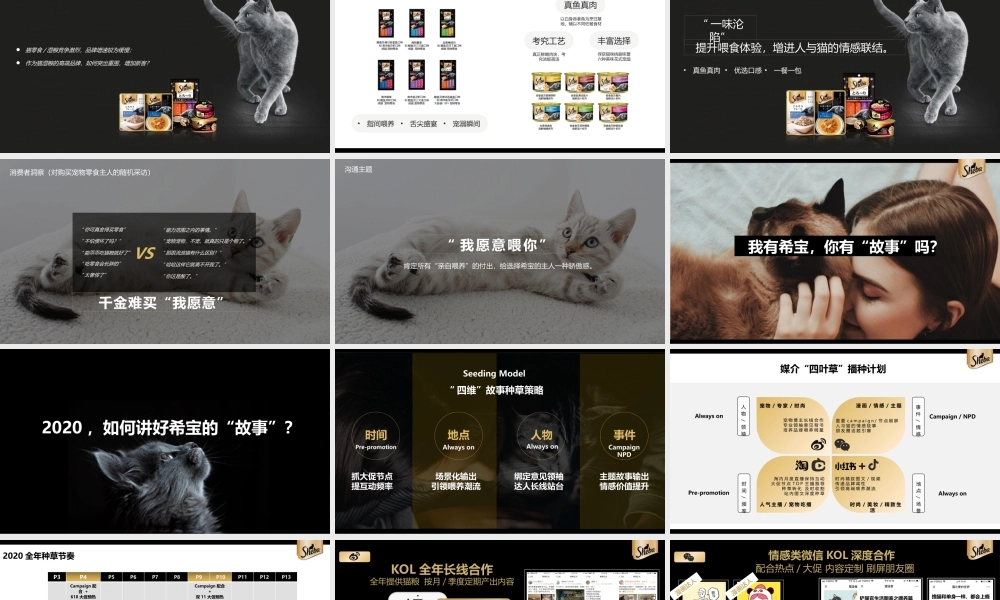 宠物粮品牌全年内容种草创意营销方案.pptx