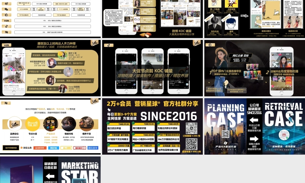 宠物粮品牌全年内容种草创意营销方案.pptx