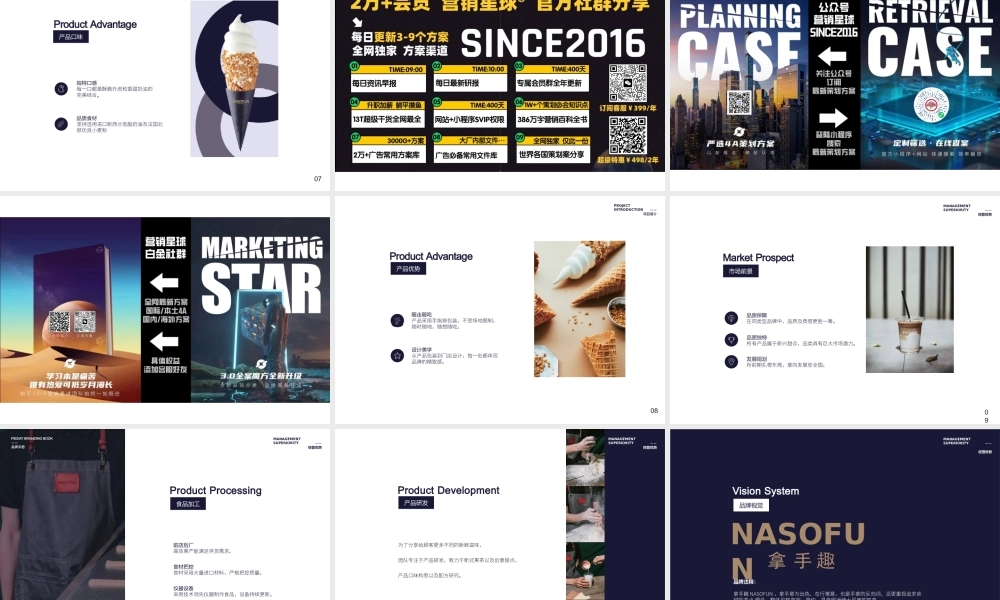 NASOFUN奶茶饮品品牌手册.pptx