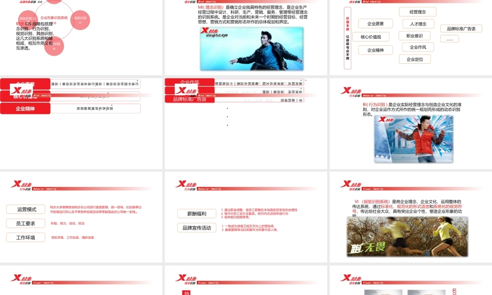 特步运动品牌调研.pptx