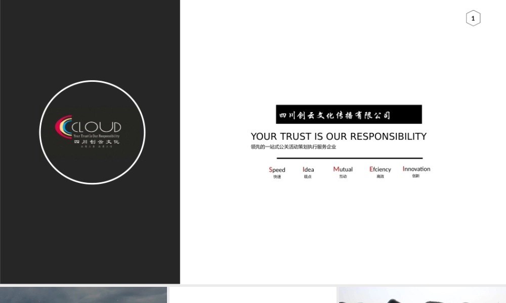 火爆精酿酒策略篇.pptx